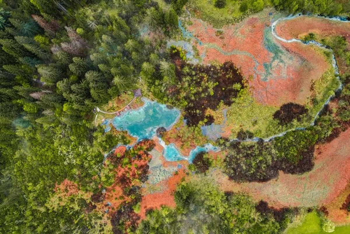 Rezerwat przyrody Zelenci krajnska gora Słowenia Europa - poranny widok